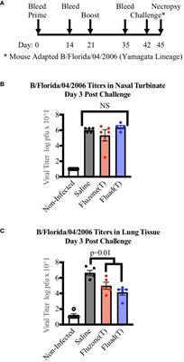 Corrigendum: Impact of adjuvant: trivalent vaccine with quadrivalent-like protection against heterologous Yamagata-lineage influenza B virus